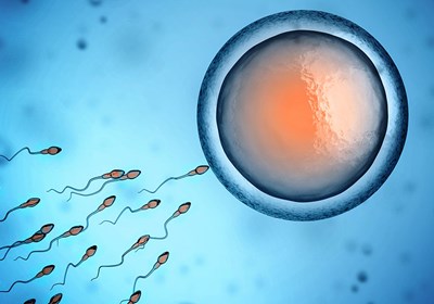 Svømmer bedre i naturlige sekreter