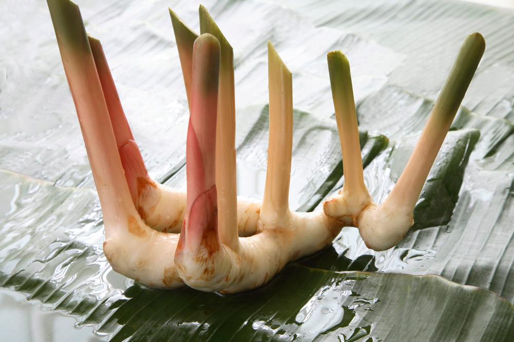 Ingefær i gammeldags oppdragelse